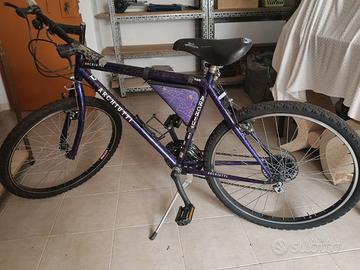 bicicletta