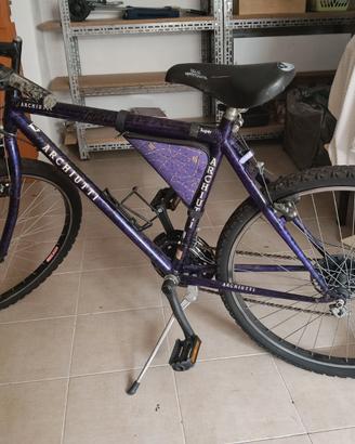 bicicletta