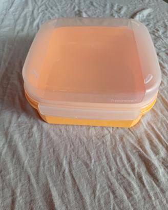 CONTENITORI TUPPERWARE 