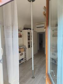 Palo pole dance