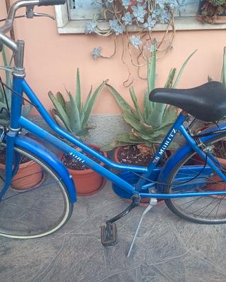 bicicletta  blu 