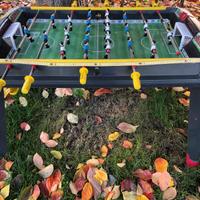 Bigliardino calciobalilla bigliardo