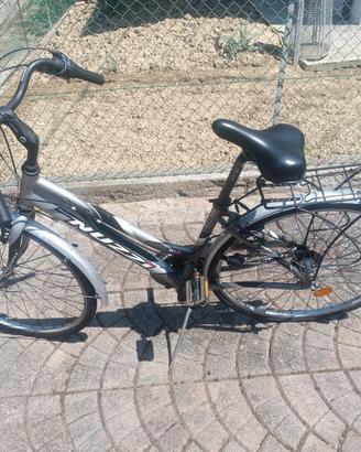 bicicletta da donna 