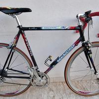 COLNAGO C40 CARBONIO ART DECOR