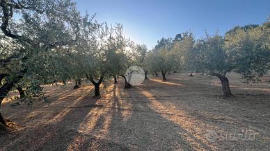 TER. RESIDENZIALE A SERRONE