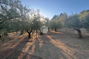 TER. RESIDENZIALE A SERRONE