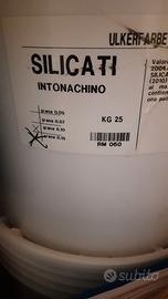 Intonachino ai silicati RM.060