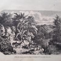 Stampe antiche dei luoghi sacri