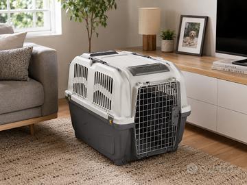 Kennel per cane