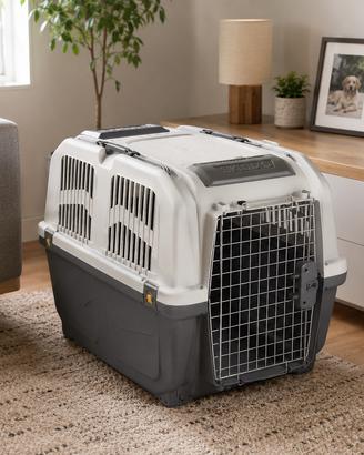 Kennel per cane