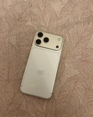 iPhone 17 pro max