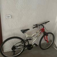Bici freius FM 626 