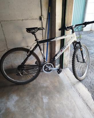2 Bici