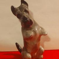 Cane in miniatura