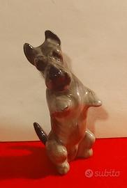 Cane in miniatura