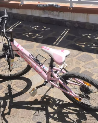 Bicicletta