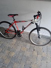Bici MTB 26 pollici