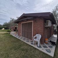 Terreno Agricolo Grosseto [Cod. rif 3299342VRG]