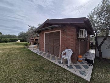 Terreno Agricolo Grosseto [Cod. rif 3299342VRG]