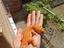 Immagine 6