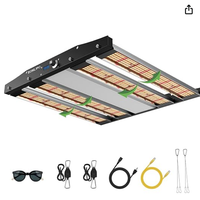 LAMPADA LED PIANTE