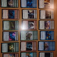 Carte Magic the Gathering 