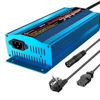 Caricabatterie automatico intelligente 24V