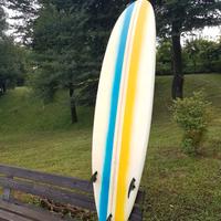 Surf Tavola MINI MALIBÙ 7.6 FCS Australia Custom