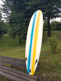 Surf Tavola MINI MALIBÙ 7.6 FCS Australia Custom