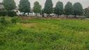 terreno-residenziale-gavello-a4869vrg-