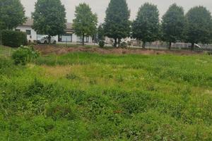 Terreno Residenziale Gavello [A4869VRG]