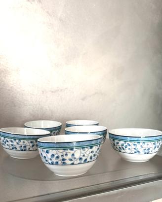 Ciotoline Multiuso SPAL