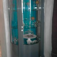 Elegante vetrina in legno e vetro con ripiani curv