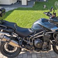 Triumph Tiger 1215 - 2018