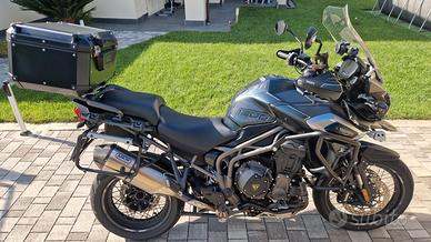 Triumph Tiger 1215 - 2018