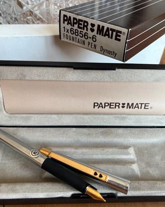 Vintage rara penna stilografica Papermate Dinasty