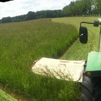 Fieno di prato stabile