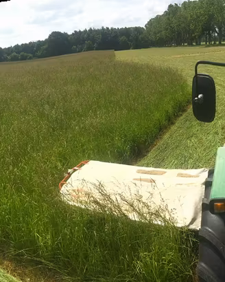 Fieno di prato stabile