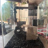 Acquario di circa 5 LT