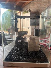 Acquario di circa 5 LT