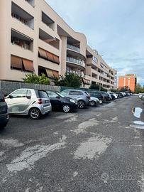 Petrocelli