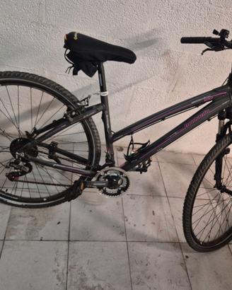 MTB Lombardo Amantea 100