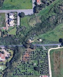 Terreno agricolo