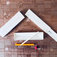 APPLE PENCIL 2 + Custod ELAGO