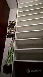 Mobile giorno Scarpiera Scaffale Libreria h. 2,71