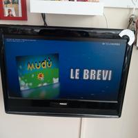 televisore 22 pollici completo di tutto 