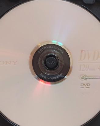 25 DVD Sony con custodia rigida