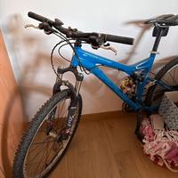 Specialized stuntjumper expert 120