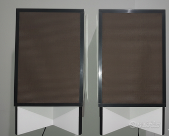 Sistema Audio Professionale Bluetooth multi-uso