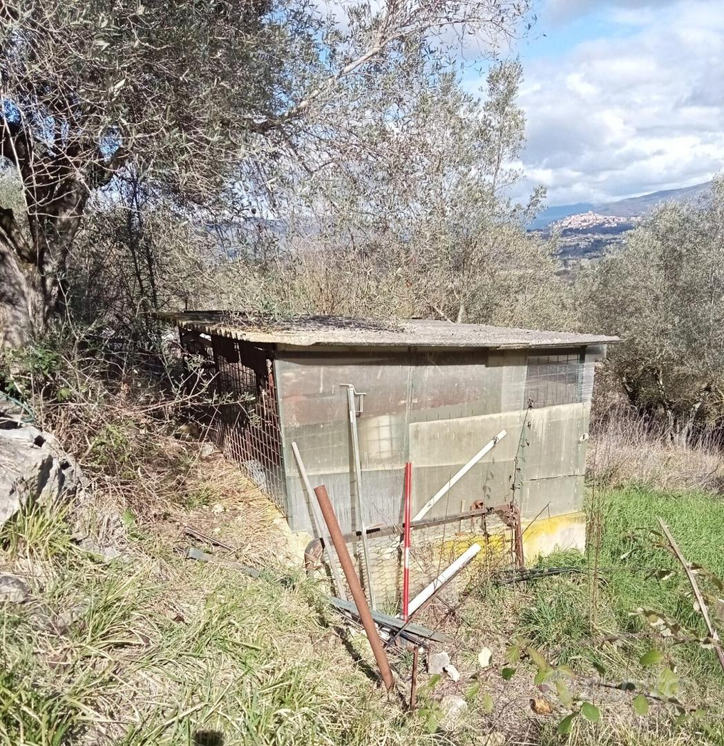 Agricolo a Tivoli - Vista 5